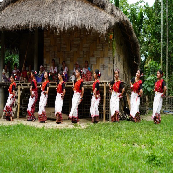 Bamboo & Thatched Roof Structures
