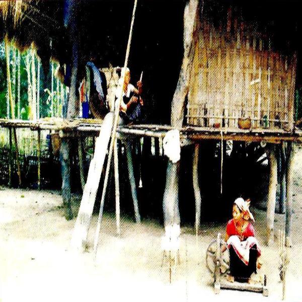 Mising Tribe Household Mising Tribe Household