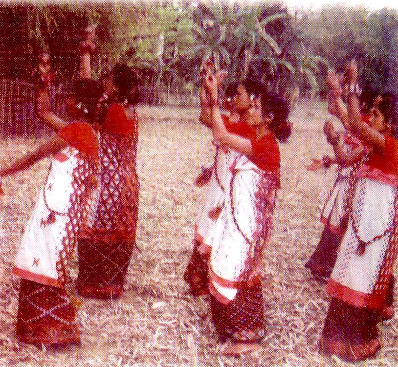Mising Tribe Mising Tribe