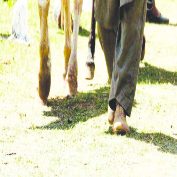 Man wearing Gurgabi footwear Man wearing Gurgabi footwear