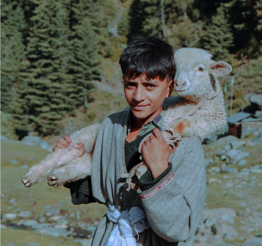Gujjar Tribe Boy Gujjar Tribe Boy