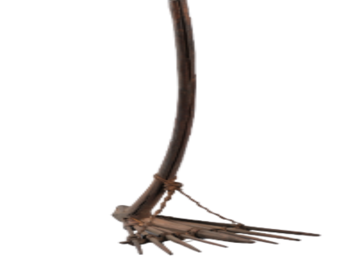 Wooden Rake of Angami Naga Tribe Wooden Rake of Angami Naga Tribe