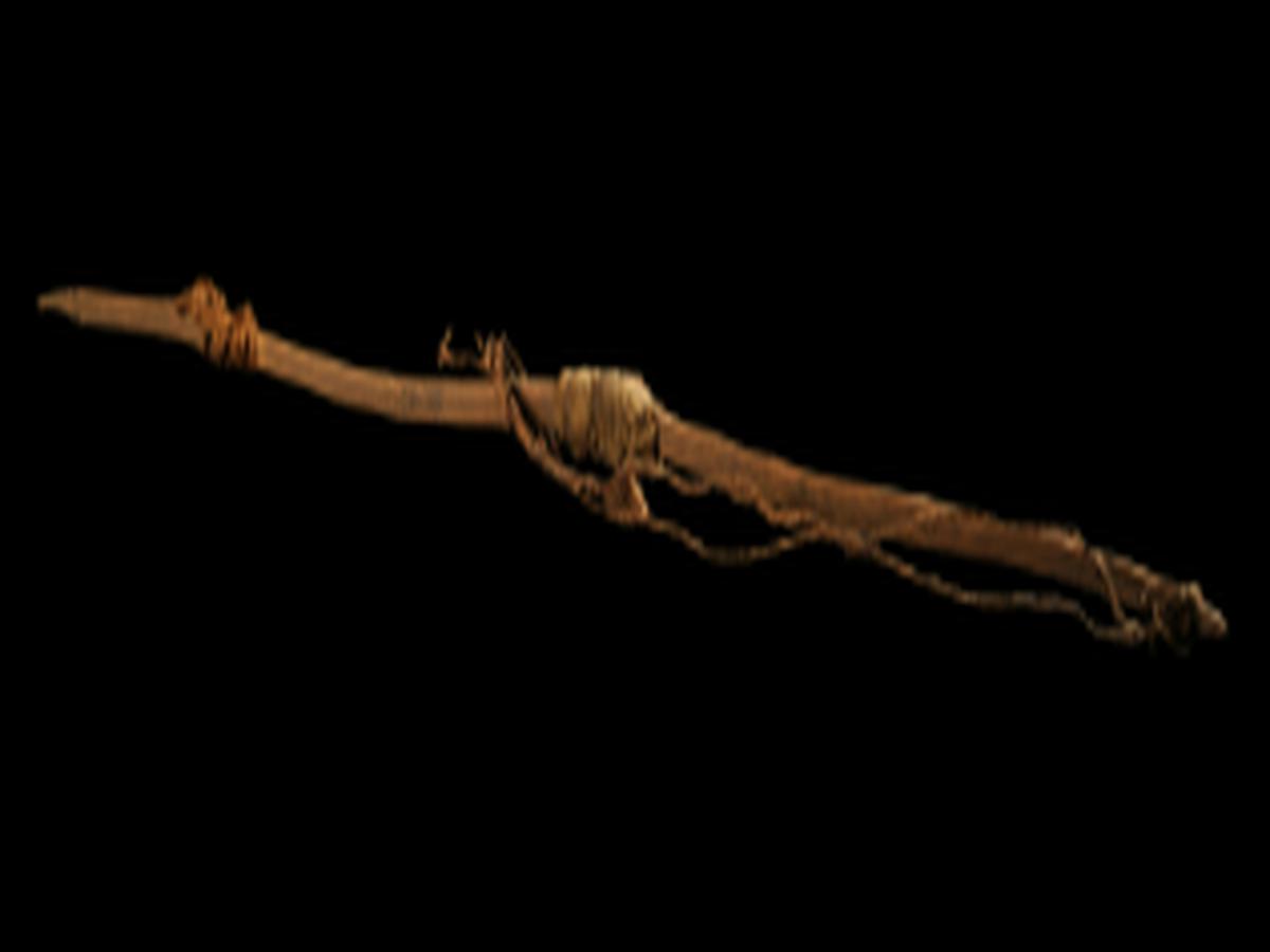 Bati-Buli pellet bow of Khond Tribe Bati-Buli pellet bow of Khond Tribe