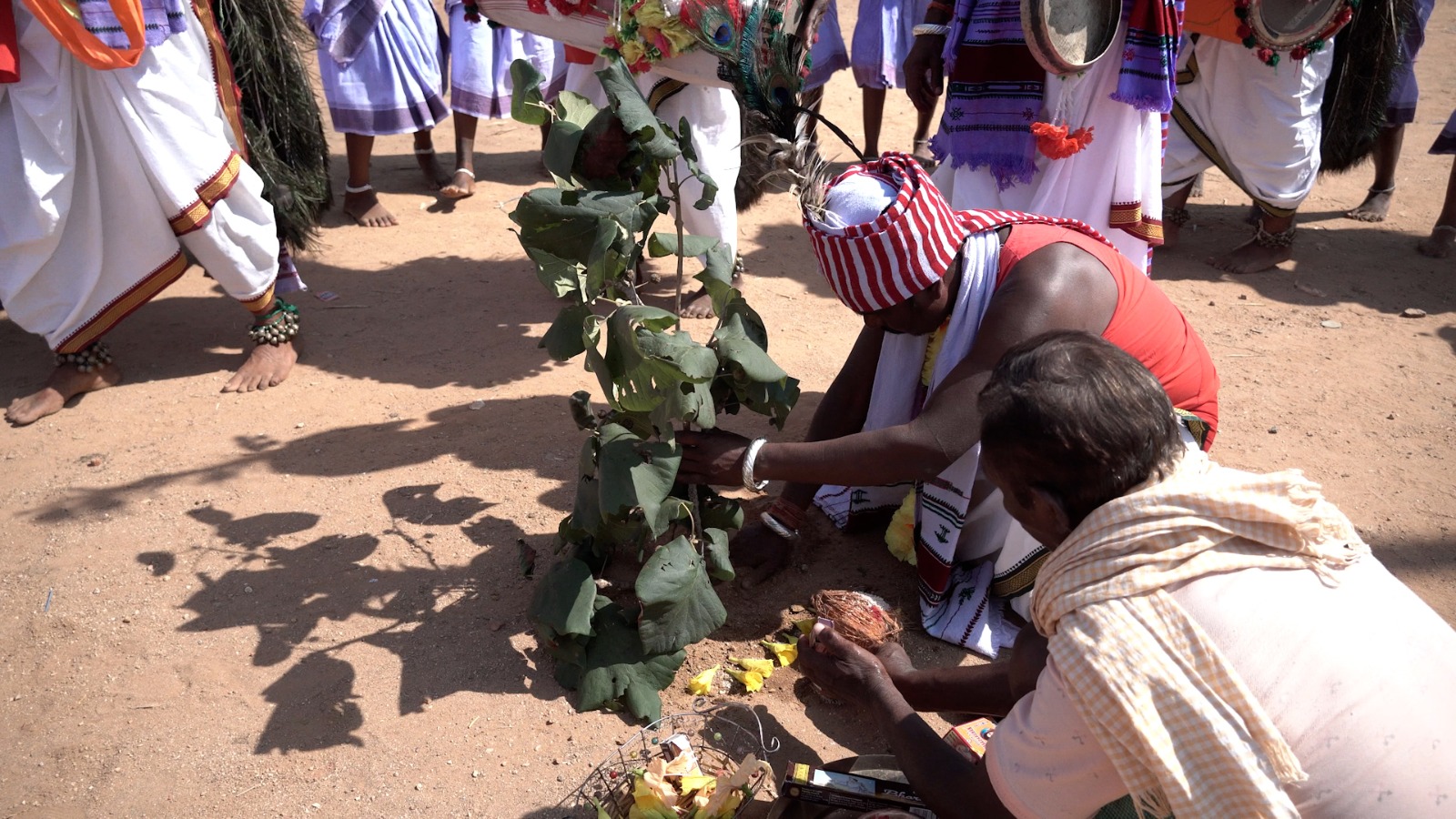 Workship of Karma Tree 
